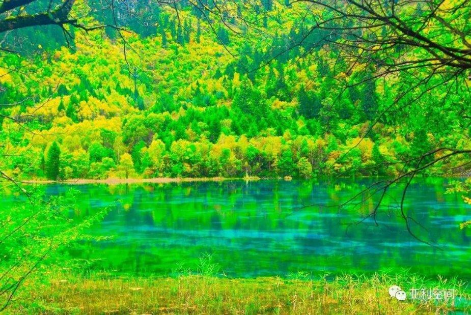 为啥上海这么繁华？游戏画面