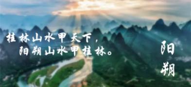 植物大战僵尸12