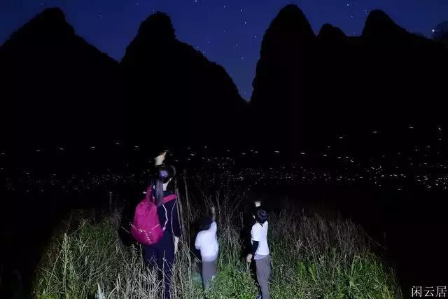 黎明杀机