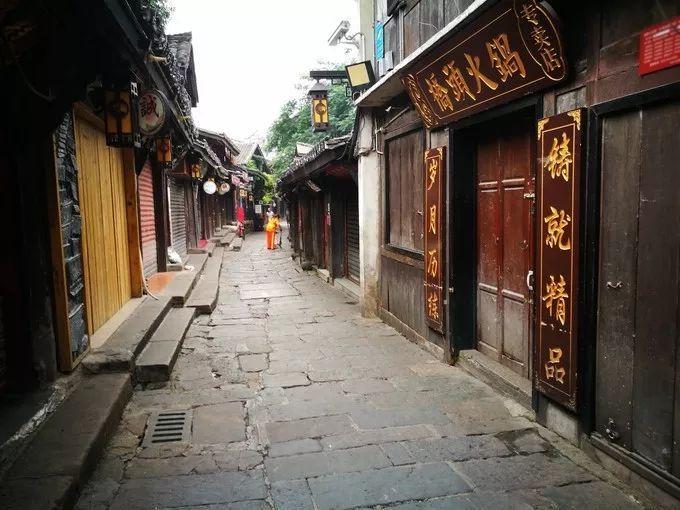 小猫钓鱼游戏龙王版有船